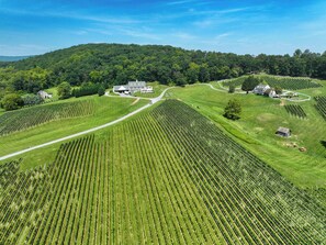 Outdoor wedding area