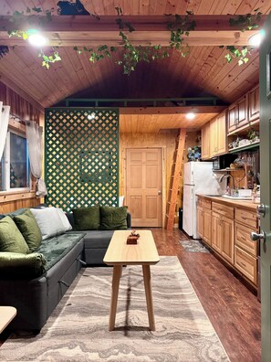 Smart TV, books - Private Romantic Woodland Getaway- with sauna, hot tub, fire pits, and more. (Vader)