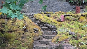 A stone staircase with moss-covered steps leading up to a brick wall. - Private Romantic Woodland Getaway- sauna, hot tub, outdoor culinary bar, gardens (Vader)