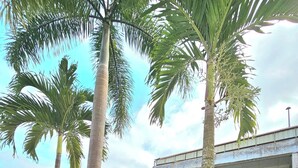Exterior - The Downhill Tagaytay Resort (Tagaytay)