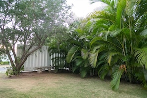 A backyard with a wooden fence, a tree, and various tropical plants.