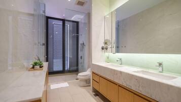 Shower, hair dryer, towels
