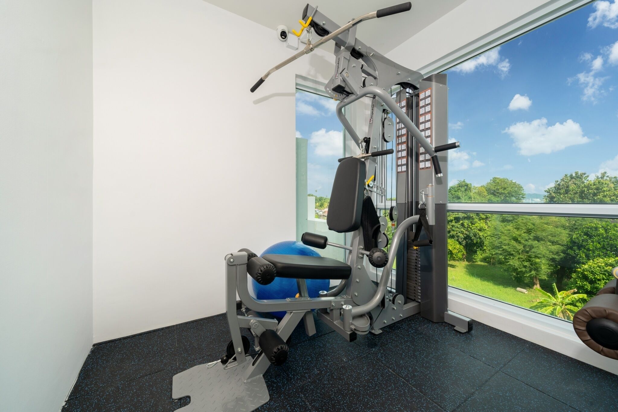 A gym with exercise equipment, a blue exercise ball, and a view of greenery through a large window.