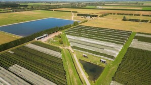 Luchtbeeld van een uitgestrekt landbouwgebied met velden, een vijver en een klein gebouw.