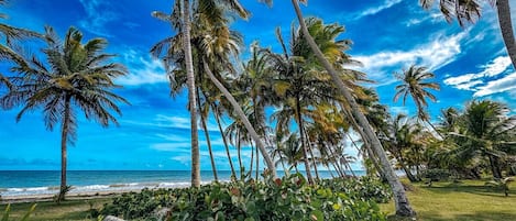 在海滩