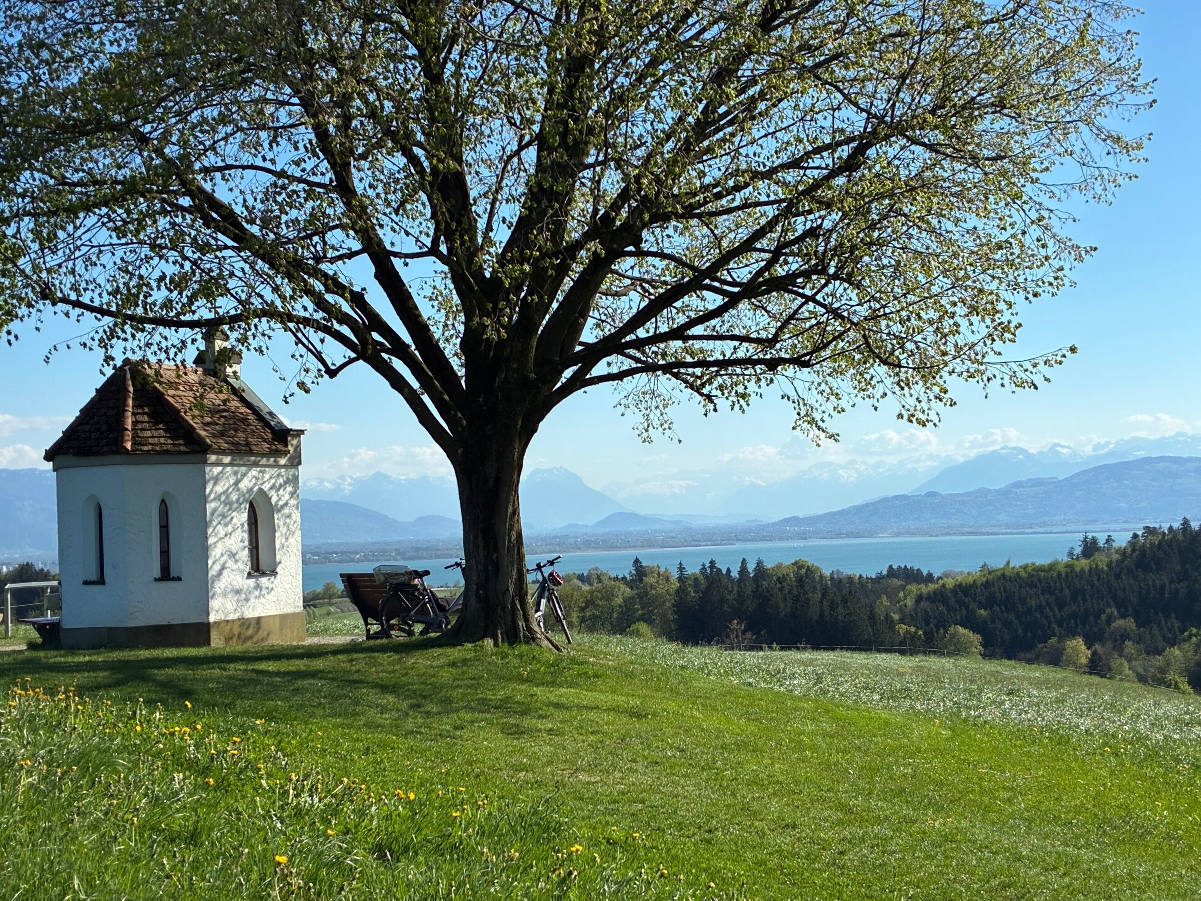 Un petit bâtiment blanc avec un toit en pente, un banc et un vélo appuyé contre un grand arbre.