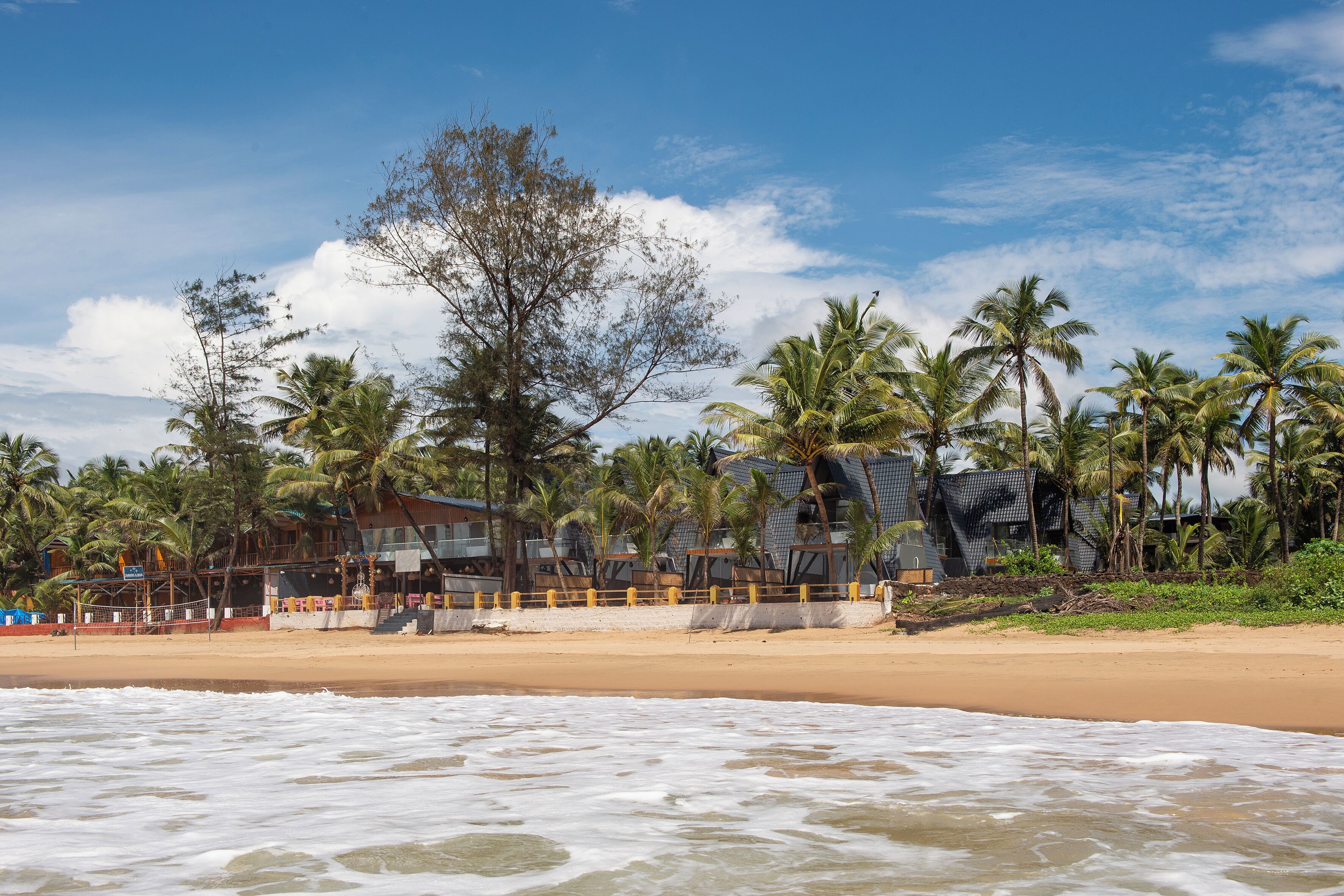 Una playa con palmeras, una orilla arenosa y un edificio con balcón con vista al océano.