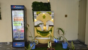 A Pepsi refrigerator, potted plants, and a decorative wall with a horse design. - Suthanthira Stay Inn (Thindukkal)