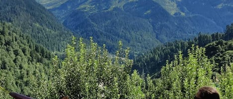 Ulkopuoli