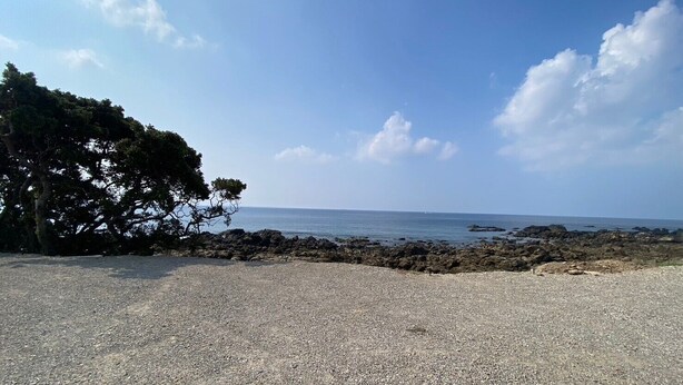 Ein Kiesweg führt zu einer felsigen Küstenlinie mit freiem Blick auf das Meer, links steht ein großer Baum.