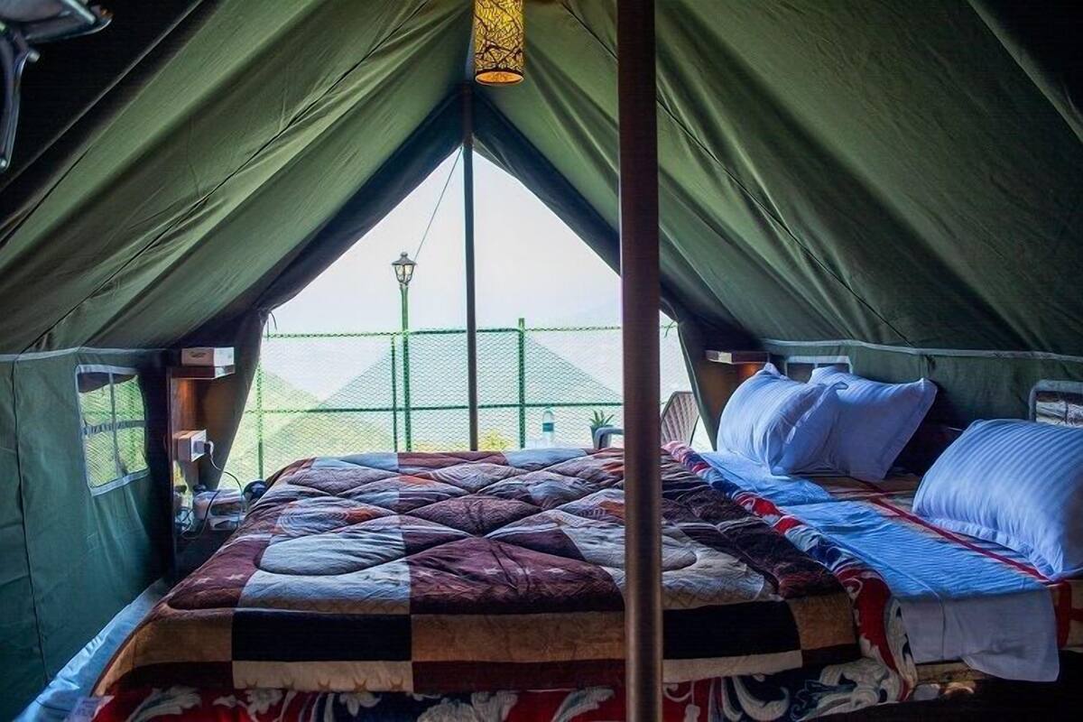 Uma tenda com cama, uma luminária pendente e vista para uma cerca verde lá fora.