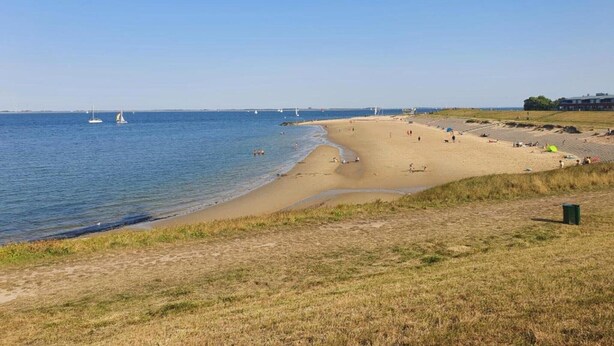 A beach with a sandy shore, a grassy foreground, and a clear blue sky. - Holiday home with Jacuzzi 200m from the beach. (Wemeldinge)