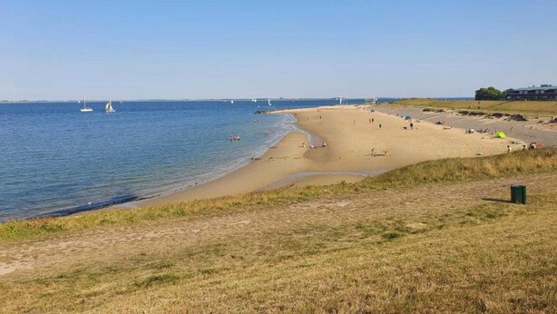 A beach with a sandy shore, a grassy area in the foreground, and a clear blue sky. - Spacious Coastal Getaway (Wemeldinge)