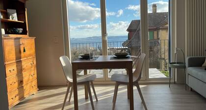 Moderne 2-Zimmer-Wohnung in der Stadt mit Seeblick