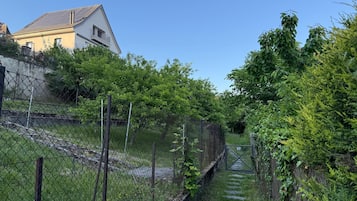 Ărea da propriedade