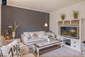 TV, fireplace, DVD player, books