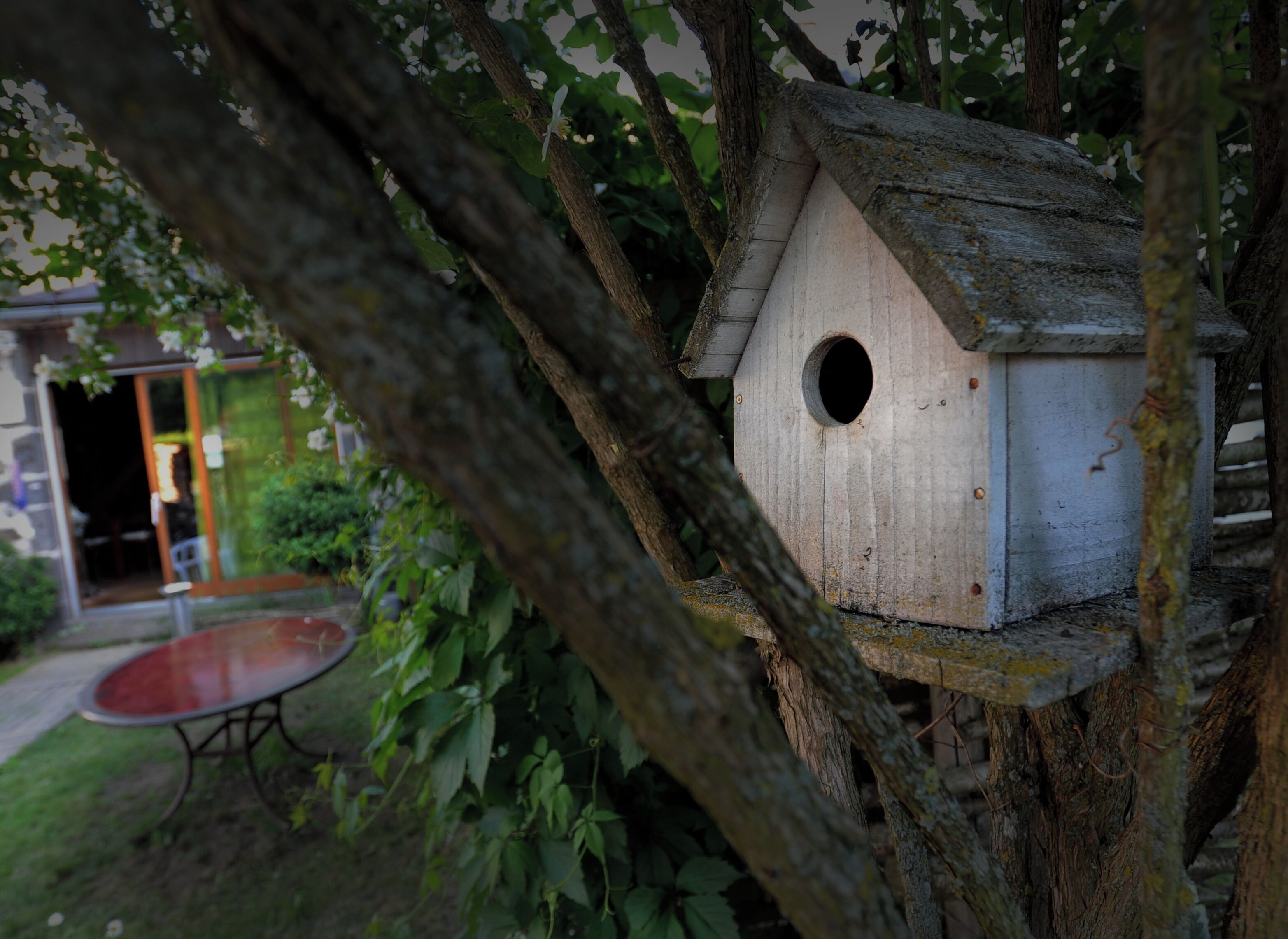 Ein Vogelhaus an einem Baum befestigt.