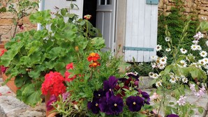 Een stenen gebouw met een houten deur en luiken, omgeven door verschillende bloempotten en bloemen.