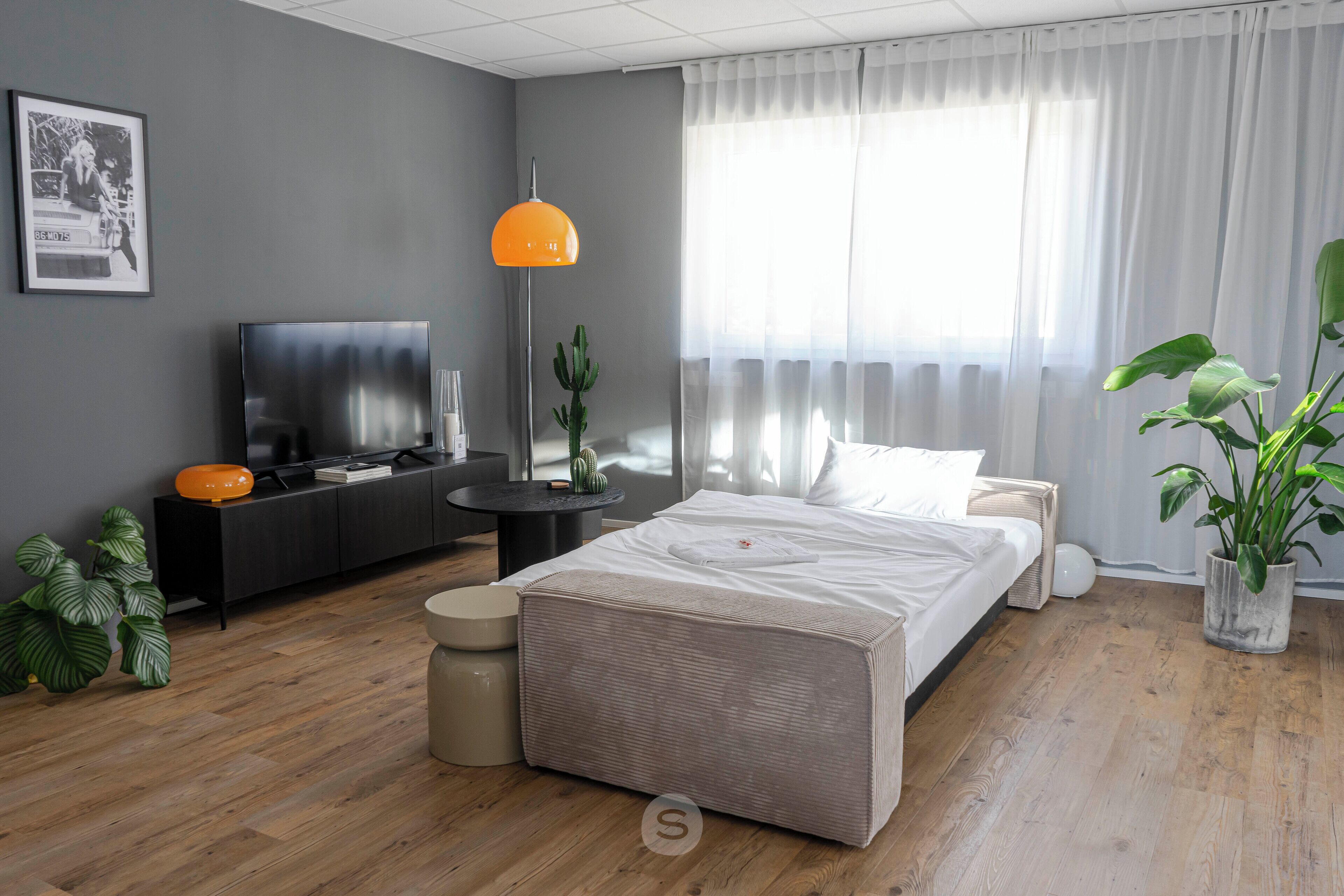 A modern bedroom with a bed, bedside tables, a television, and a potted plant.