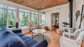 Télévision, cheminée, livres, espaces bureaux