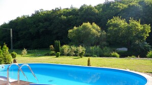 Ein Schwimmbecken mit einer Holzterrasse und einer Metallleiter.
