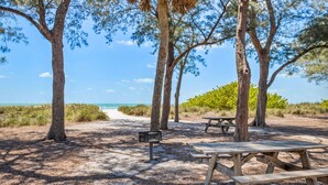 Un área de picnic en la playa con bancos y mesas de madera, rodeada de árboles y una vista despejada del océano.