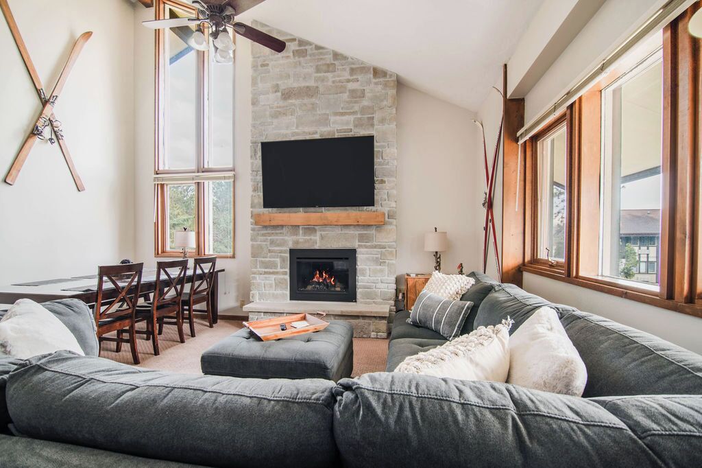 Smart TV, fireplace, books