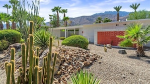 A desert garden with cacti and palm trees, a building with a red garage door, and mountains in the background.