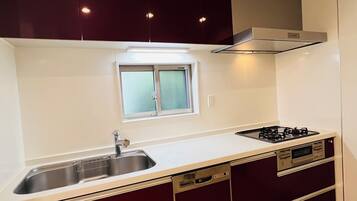 Fridge, microwave, stovetop, dishwasher