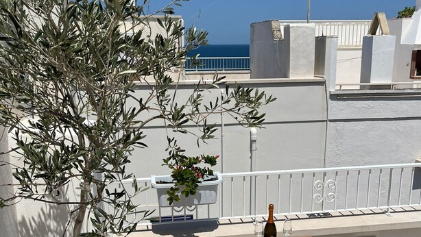 En terrasse med et krukkeplantet oliventræ, træstole, et bord og en flaske vin.