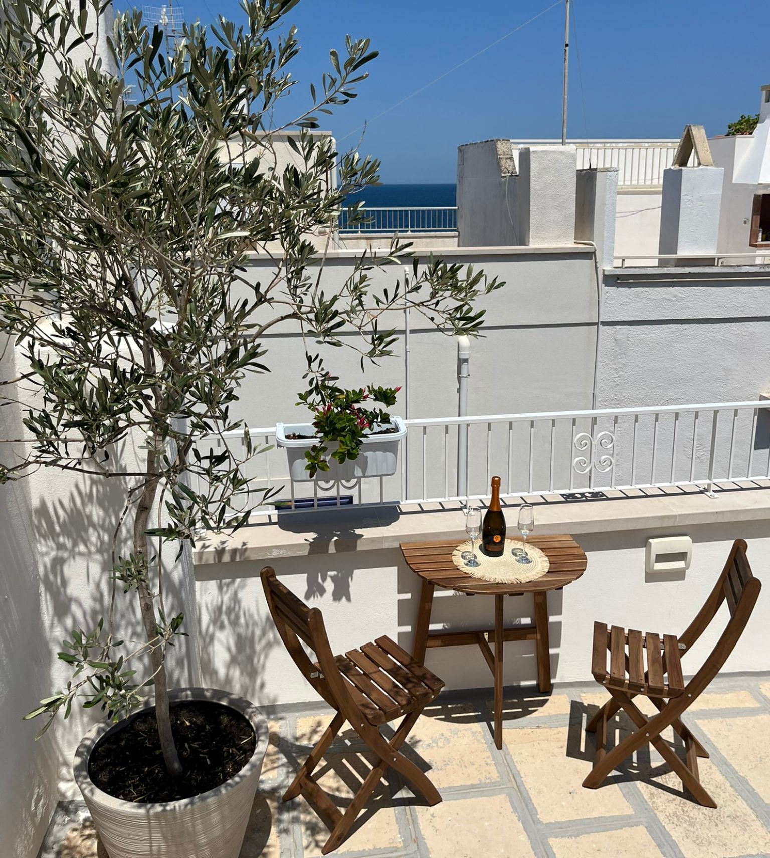 A terrace with a potted olive tree, wooden chairs, a table, and a bottle of wine.