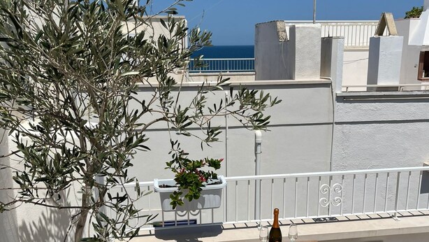 A terrace with a potted olive tree, wooden chairs, a table, and a bottle of wine.