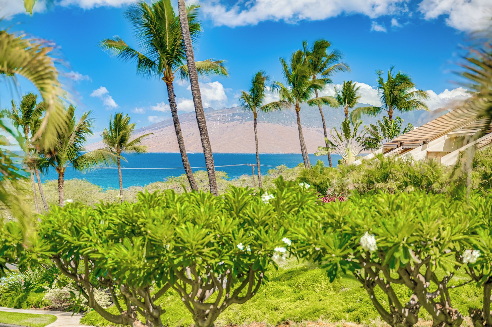 Ein tropisches Resort mit Palmen, blauem Himmel und Blick auf den Ozean.