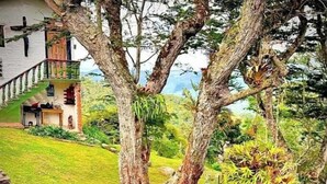 A hammock between two trees in a lush garden with a house in the background. - Beauty farm, only 25 minutes away from Cali (Cali)