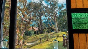 A room with a large window offering a view of a garden with trees, a hammock, and outdoor furniture. - Beauty farm, only 25 minutes away from Cali (Cali)