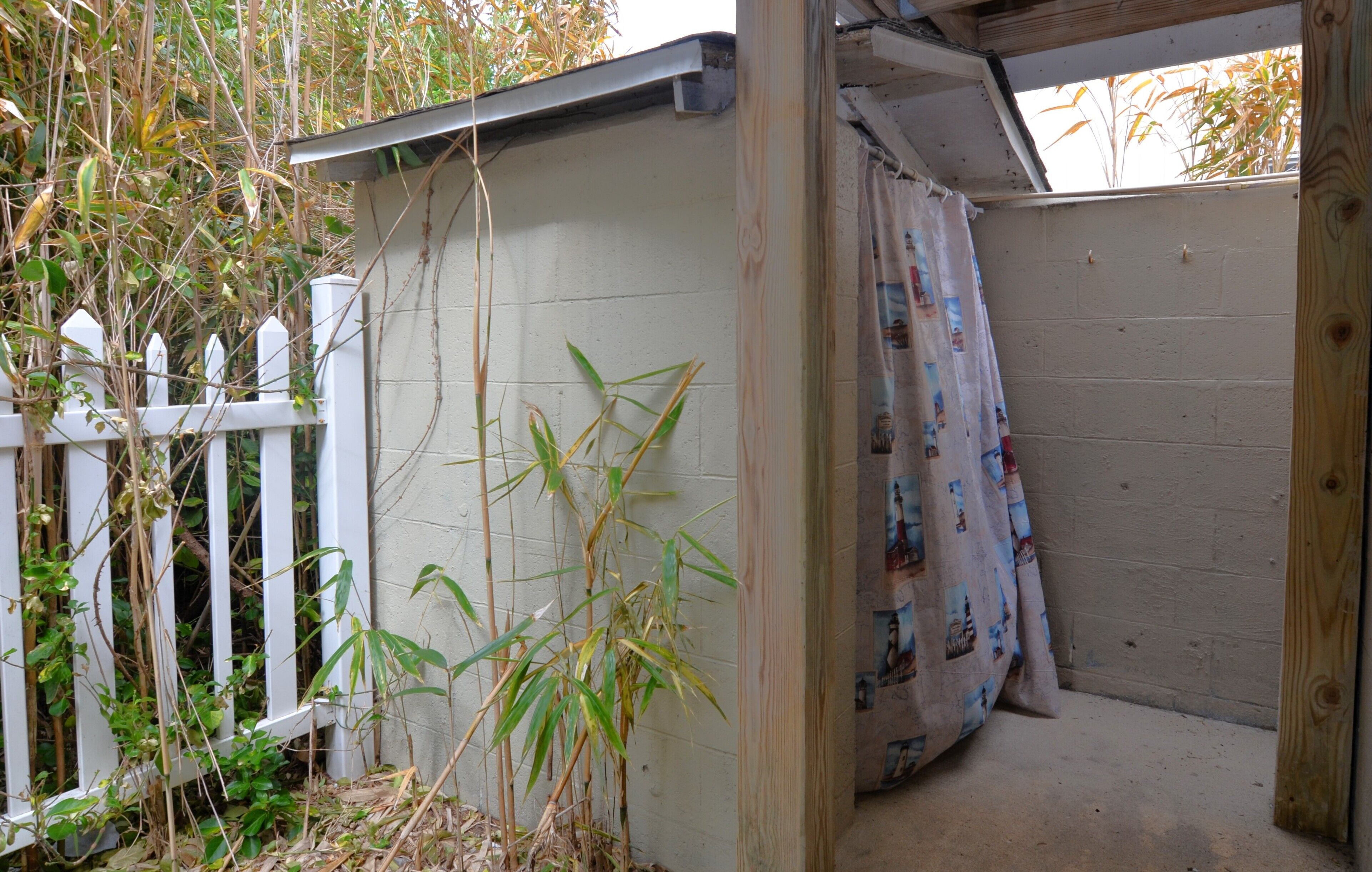 A small, enclosed outdoor area with a white picket fence, bamboo plants, and a wooden structure with a partially open door.