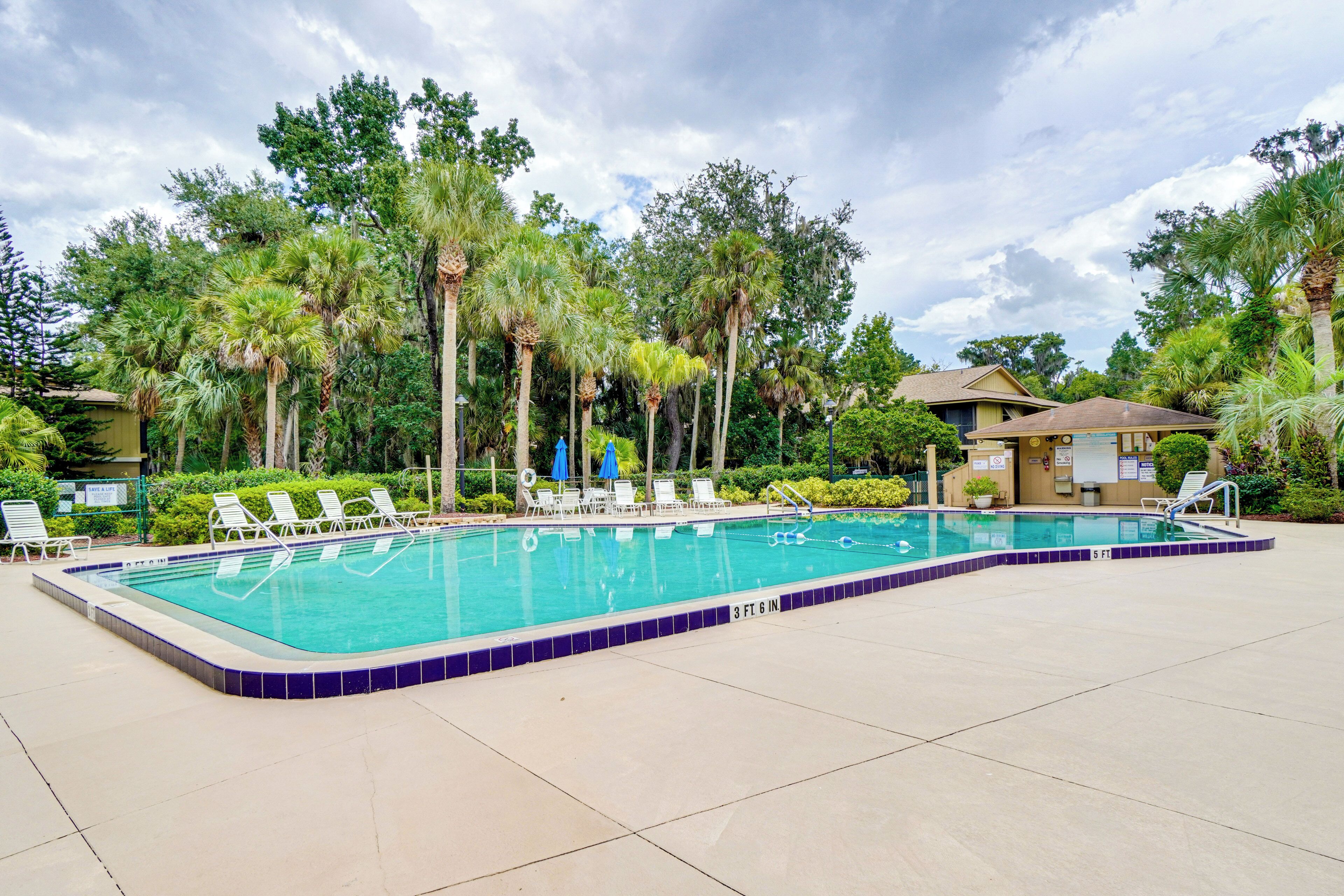 A swimming pool with lounge chairs and palm trees.