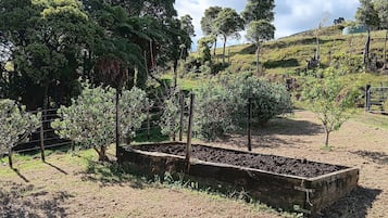 Boendeområde