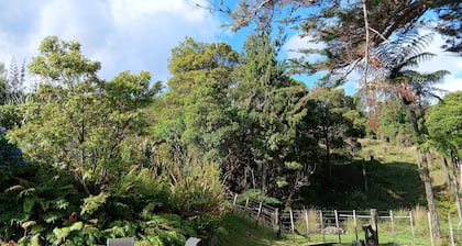King of the Weka