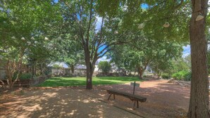 A park with a bench, trees, and a grassy area.