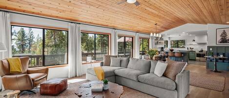 Smart TV, caminetto, libri, impianto stereo