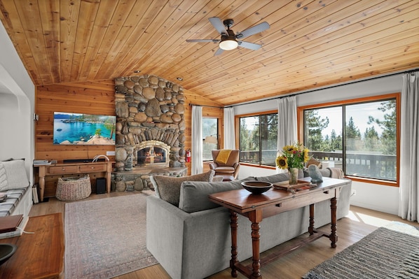 Smart TV, fireplace, books, stereo