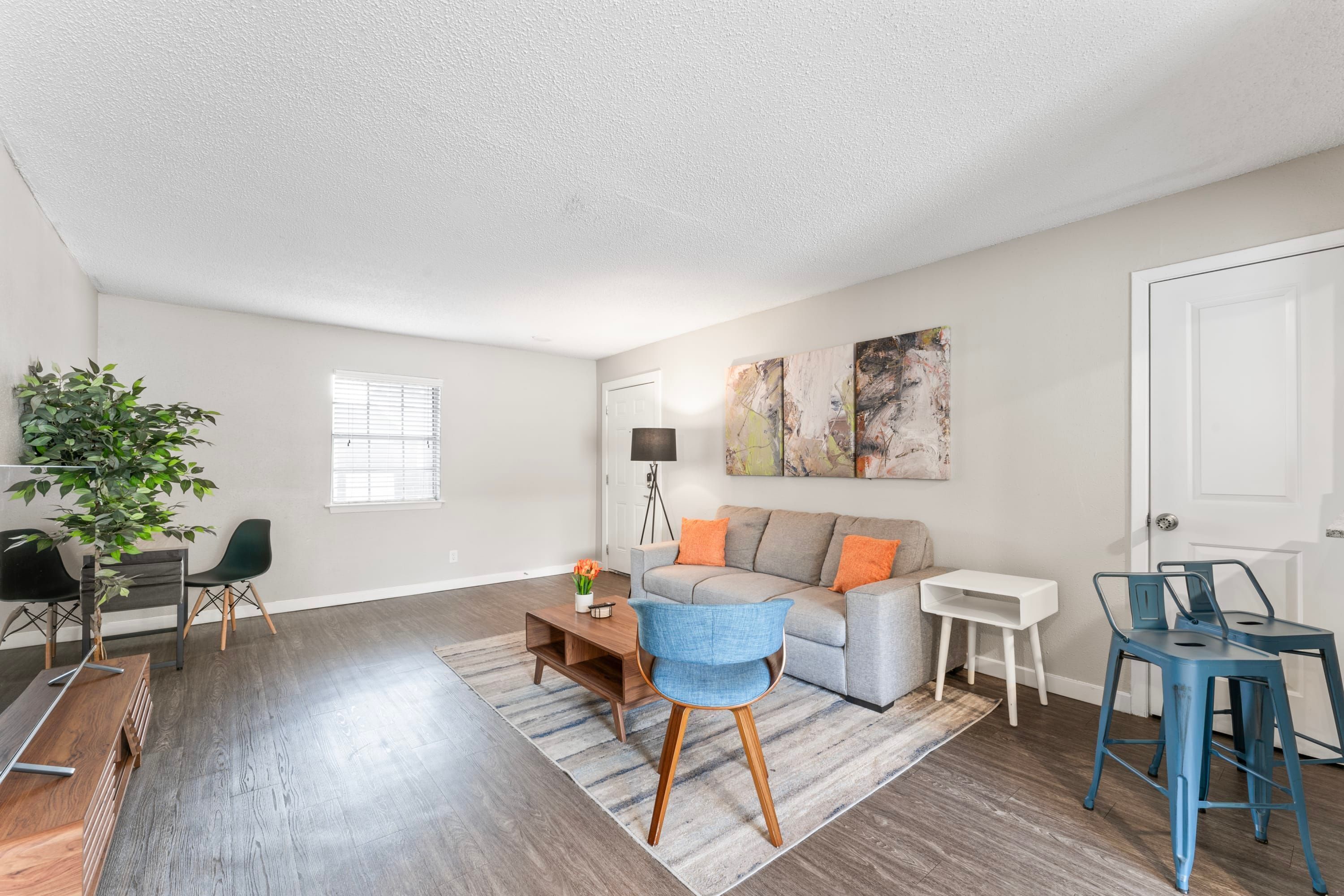 A modern living room with a grey sofa, blue chairs, a wooden coffee table, and a large plant.