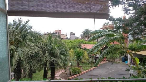 A balcony with a view of a garden, including palm trees and a pathway.