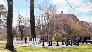 A park with a chessboard layout, trees, and a building in the background.