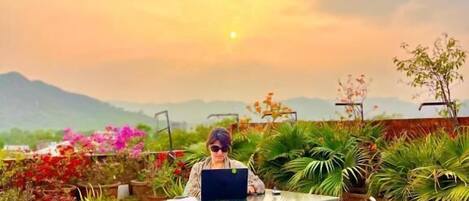 Signature Single Room | Terrace/patio