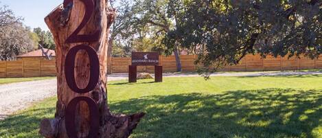 A wooden post with the number '200' carved into it, a wooden bench, and a fenced area with trees in the background.