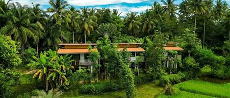 Habitación básica, vistas al jardín | Wifi gratis