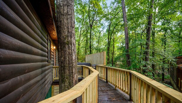 A wooden deck leading to a log cabin surrounded by a forest.