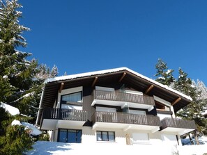 A multi-story chalet with balconies, surrounded by snow-covered trees.